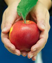 Obst Obst